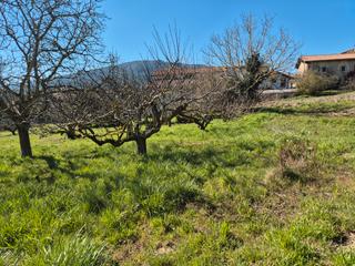 Residential Plot in Calle san juan 34. Se vende terreno edificable en orrio