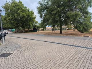 Terreny residencial a Calle nueva 1. Terreno en venta en para construccion