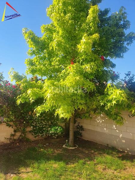 Foto 6c02a7c6-c01a-4c12-ae4c-78fbb60bbd1c. Doppelhaus mit heizung parking in Encinillas