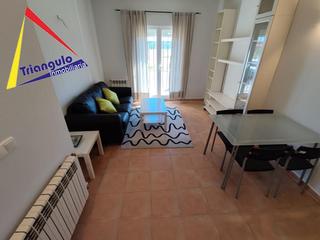 Alquiler Planta baja  Norte. Apartamento en la higuera