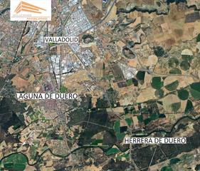 Terreny residencial a Tudela de Duero