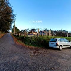 Finca rústica  Novexil, arcos, esquina  a fontenla.. Venta parcela edificable.