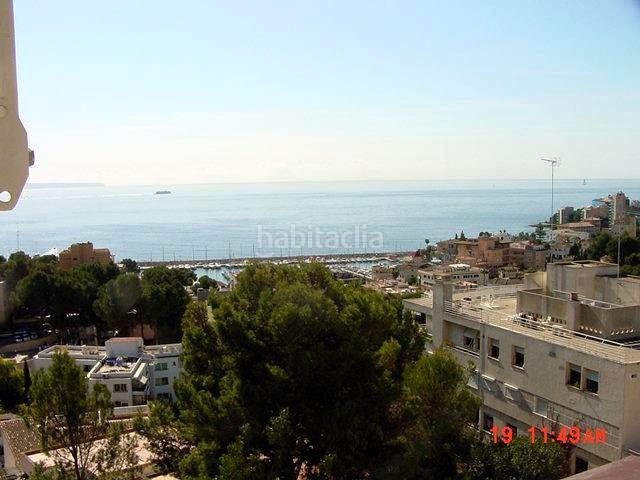 Foto f0aea004-8a00-4a11-9726-9d360a520138. Estudi amb piscina a Sant Agustí Palma de Mallorca