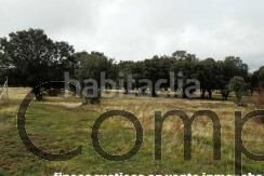 Foto 374c76e9-2fe6-4a30-a423-ac069b2db2ae. Masia a Cercedilla