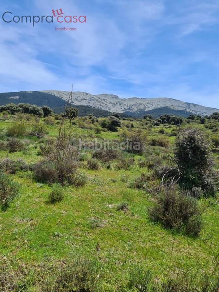 Foto 64b5c29f-957c-4b02-9656-4000ef717c27. Masia a Cercedilla