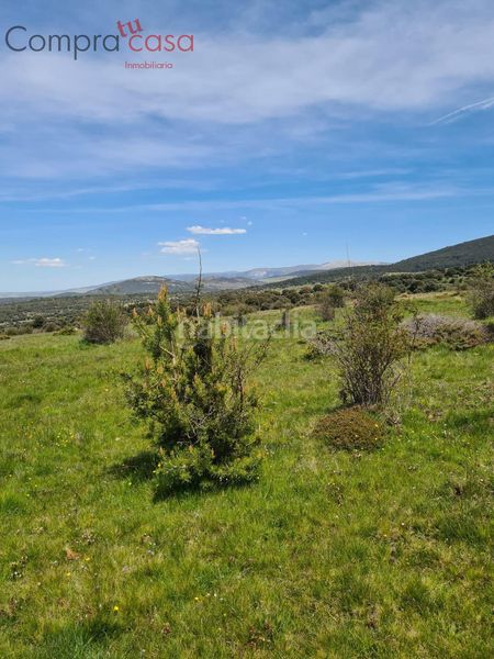 Foto 6996f91a-c663-4d2c-afb0-f3df0bbc5f59. Masia a Cercedilla