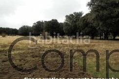 Foto 8346c7aa-02ba-4c2f-8186-9af7064e5def. Masia a Cercedilla