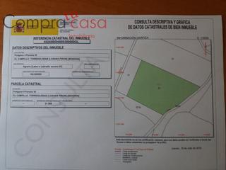 Masia a Torreiglesias. Parcelas rústicas en losana de pirón