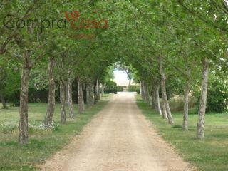 Chalet à Valverde del Majano. Venta.turismo rural..8.000 metros de jardin