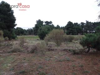 Finca rústica a Navas de Oro. Venta..pimpolladas..navas de oro..documentacion al dia.
