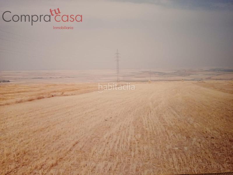 Foto 06dc8408-9f41-4a58-8783-492b7d8b8396. Finca rústica venta lote de fincas rusticas..hontoriamadrona en Segovia