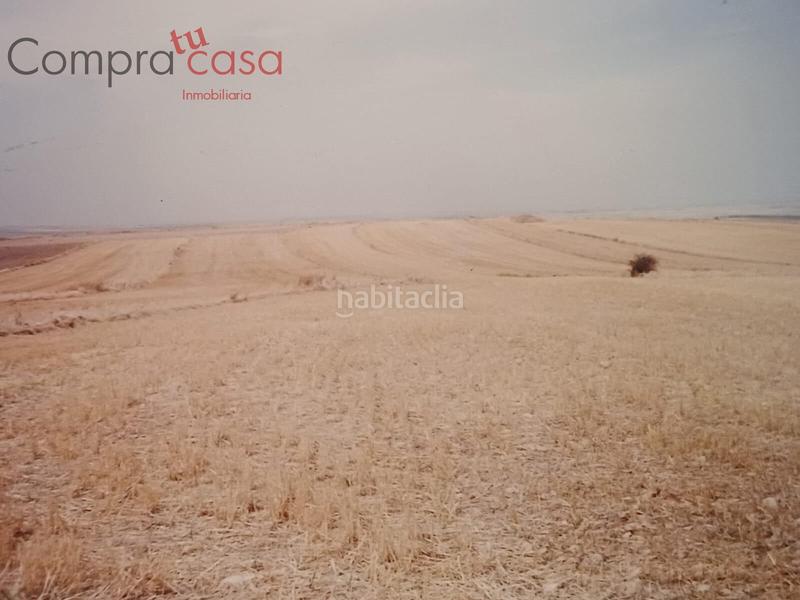 Foto 0cfcc805-98b6-4f65-a2c4-2bf698ac5b7b. Finca rústica venta lote de fincas rusticas..hontoriamadrona en Segovia