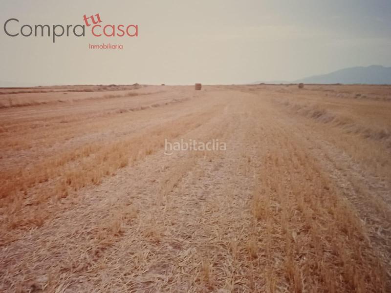 Foto 37074685-f0c8-44a9-95b4-92362f7af525. Finca rústica venta lote de fincas rusticas..hontoriamadrona en Segovia