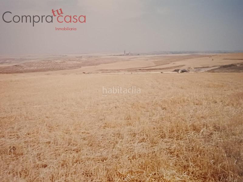 Foto 51511095-6f78-4182-929b-0d09e0d3d9b3. Finca rústica venta lote de fincas rusticas..hontoriamadrona en Segovia