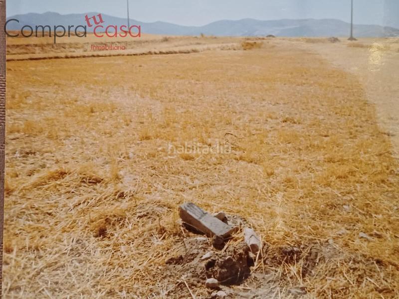 Foto 98635bbe-ab46-4e00-8352-13150bec8fd5. Finca rústica venta lote de fincas rusticas..hontoriamadrona en Segovia