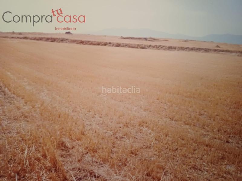 Foto a0ce1891-0a74-42df-85d6-710e64e3c6ed. Finca rústica venta lote de fincas rusticas..hontoriamadrona en Segovia