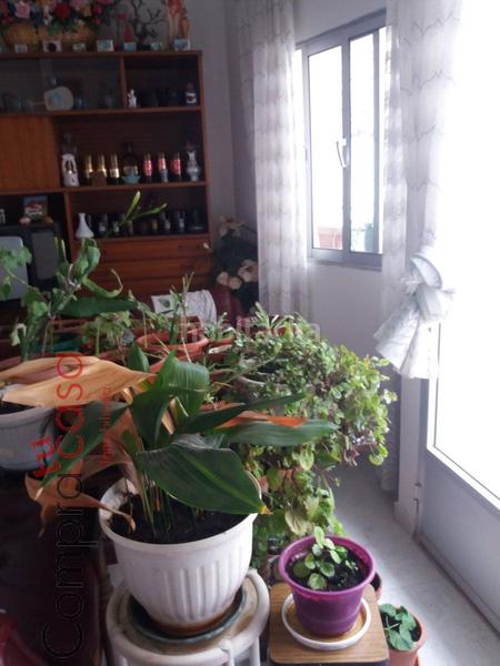 Foto 844d1f04-11a0-42b1-b127-75a905354018. Masia amb calefacció a Carbonero el Mayor