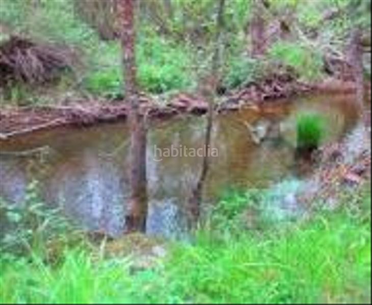 Foto 42f43bf6-f8d4-41be-b9a9-f0b4f19b509e. Lloguer àtic amb calefacció a Escobar de Polendos