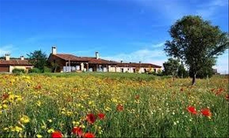 Foto a9c33e80-52f6-46b9-836c-317d5373e2dc. Lloguer àtic amb calefacció a Escobar de Polendos