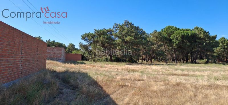 Foto ece8da35-2c4c-4cb7-9fa4-2ee9a9262540. Terreny residencial a Navas de Oro