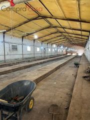 Miete Fabrikhalle in Escalona del Prado. Ventaalquilercompra aplazada de nave con campa..escalona del pra