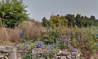 Residential Plot in Tui