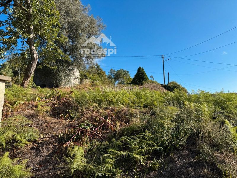 Foto 678e6fc0-b228-4ee7-9688-b2ccacafd010. Casa a Crecente