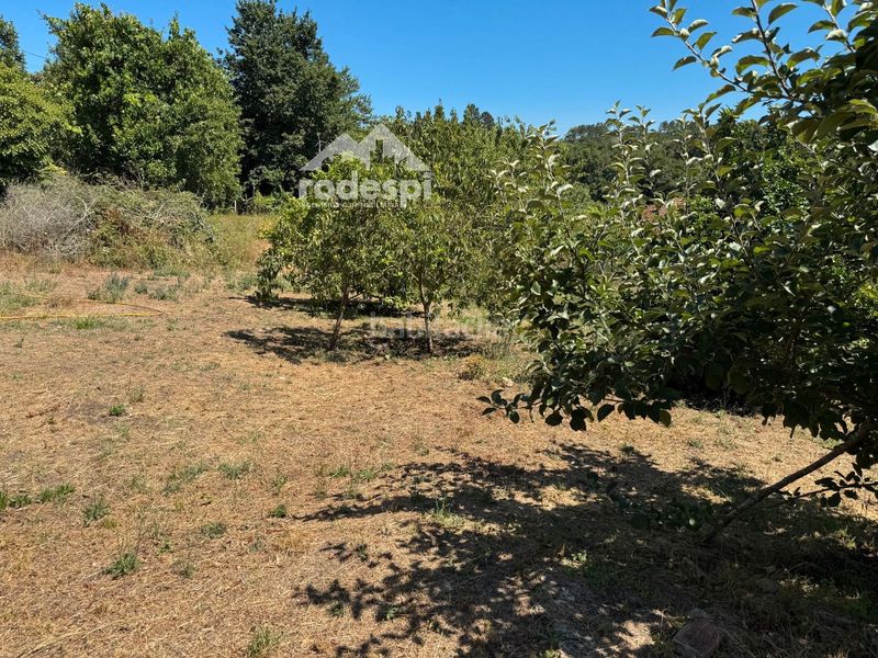 Foto 79f05825-d2bd-42b0-a4d5-4952d125fe7f. Casa a Crecente