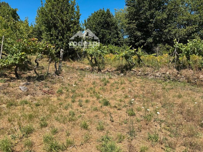 Foto be866e0d-6dde-423f-bd20-c64112352eea. Casa a Crecente