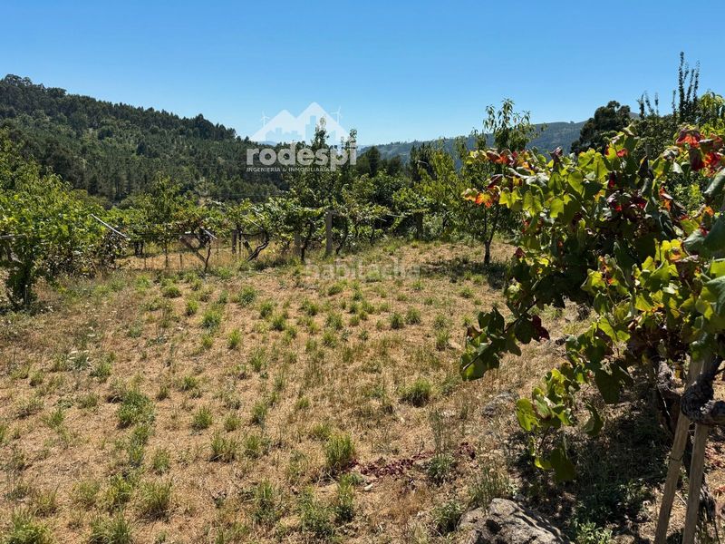 Foto d89a0820-126e-429c-a3d8-24c81a43fb88. Casa a Crecente