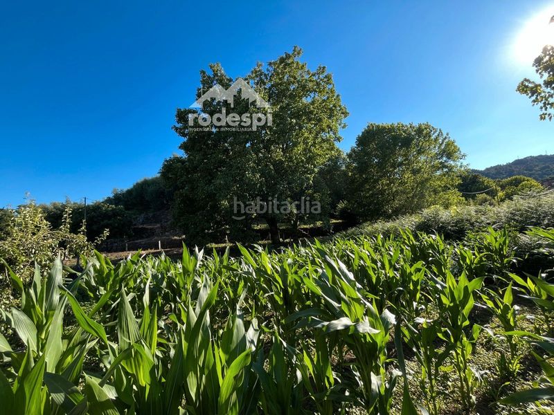 Foto b1f041cf-8520-45a2-9e1b-6d1f78600122. Casa adossada a Leiro