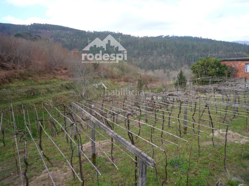 Foto 64e1dd04-b42b-46a5-a6ca-ea839697539b. Finca rústica a Mondariz