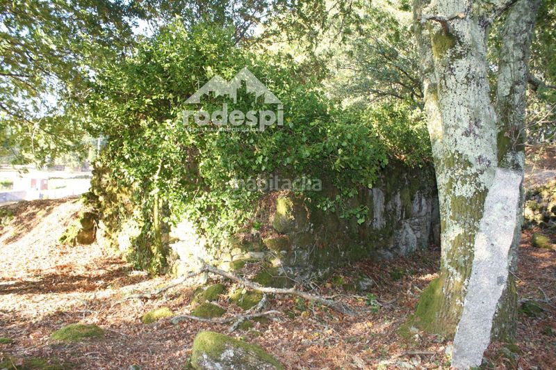 Foto 56a31e45-981b-4358-8b07-3c6b9a5534e6. Finca rústica a Mondariz