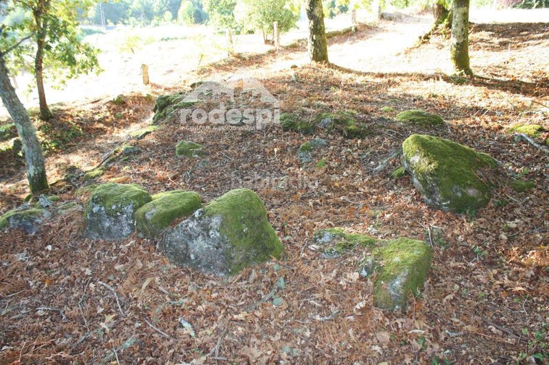 Foto bc8e94cc-f32d-437d-b1fc-b5b75f4aeec6. Finca rústica a Mondariz