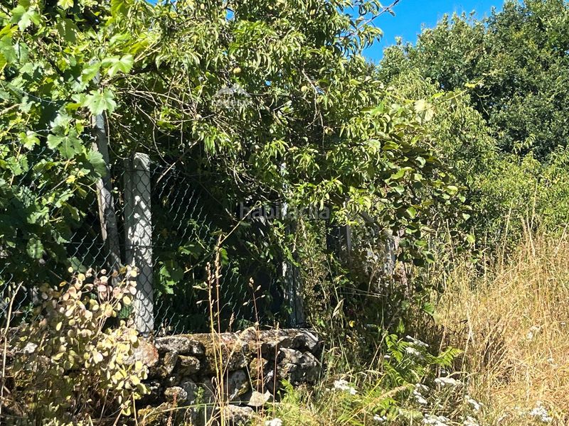 Foto 2bd5b343-de7c-462e-9def-ffd3bafe7e0b. Casa a Piñor