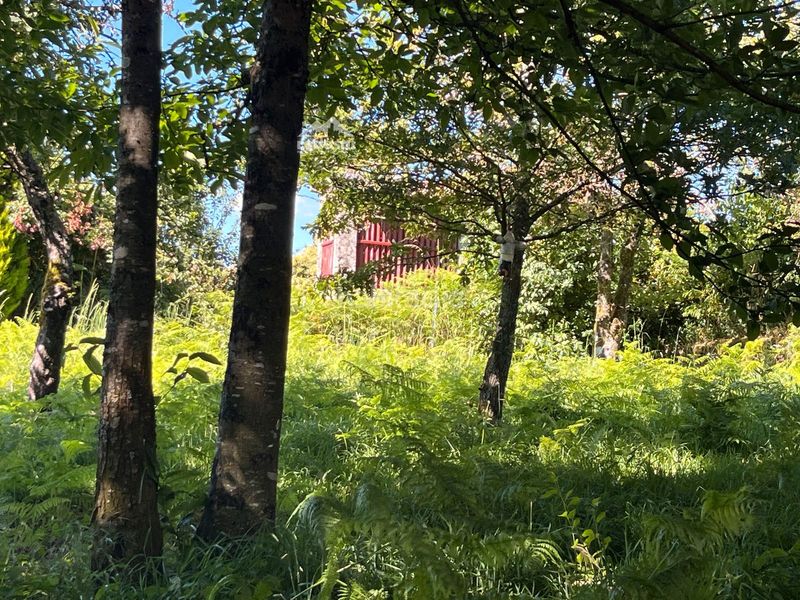 Foto d231dee0-e6cc-4660-95fc-29c186afc3bc. Casa a Piñor