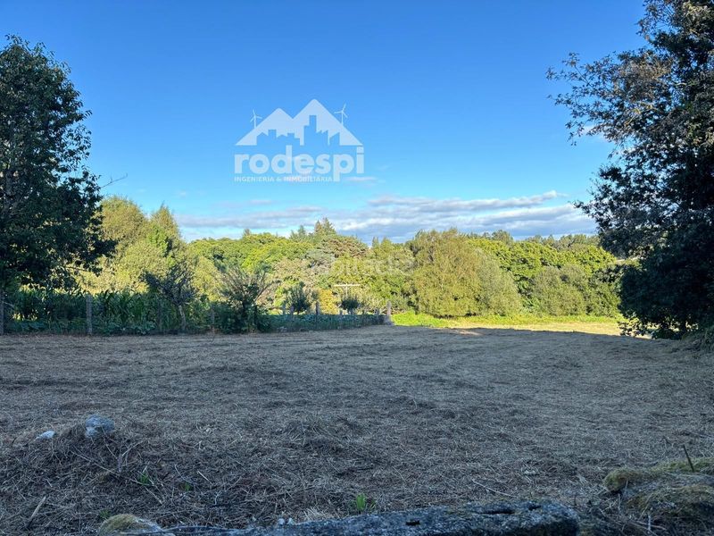 Foto 685cc369-5624-43d5-a200-bef78030eda4. Finca rústica a Cañiza (A)