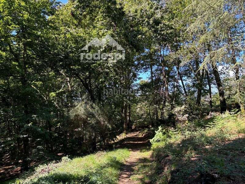Foto 124a768e-f954-4934-9941-42b05a155157. Finca rústica a Cañiza (A)