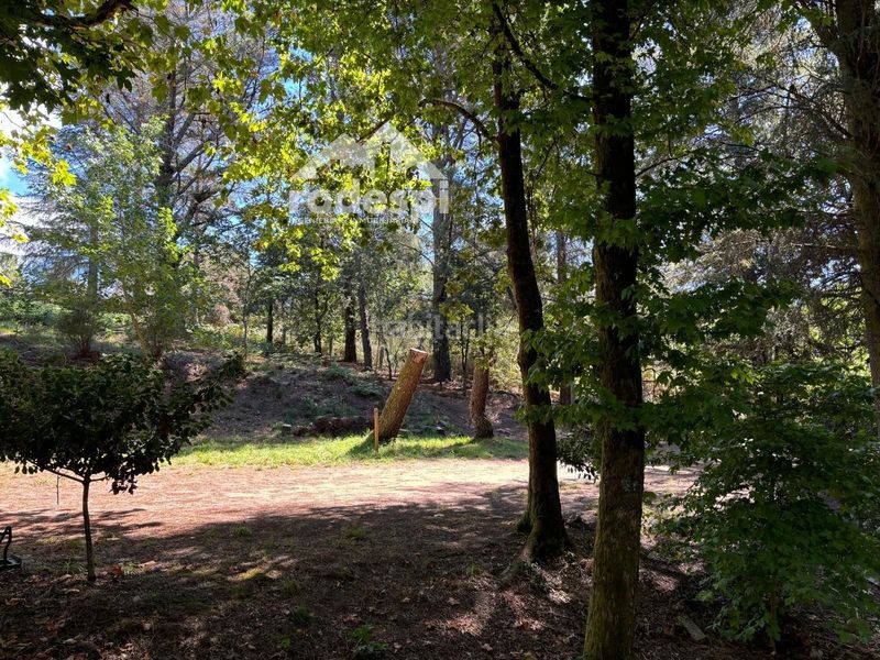 Foto 17292bd1-4b23-4c7d-9306-7c487172b433. Finca rústica a Cañiza (A)