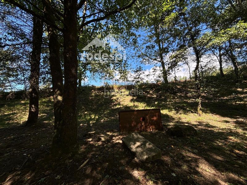 Foto 89dd34d1-9865-49e4-89d1-8c7c01d32b34. Finca rústica a Cañiza (A)