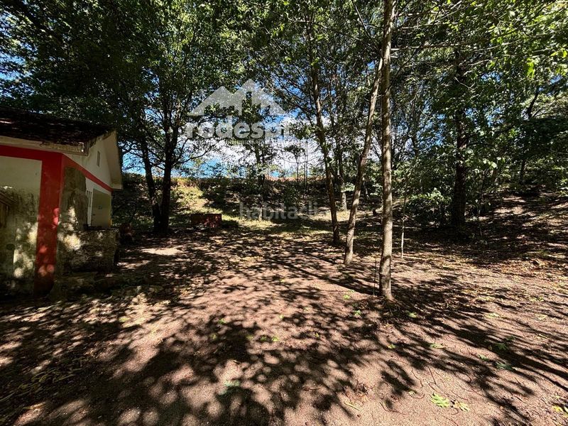 Foto 93d7abd9-9381-48a8-9a3c-d1d30891e0eb. Finca rústica a Cañiza (A)