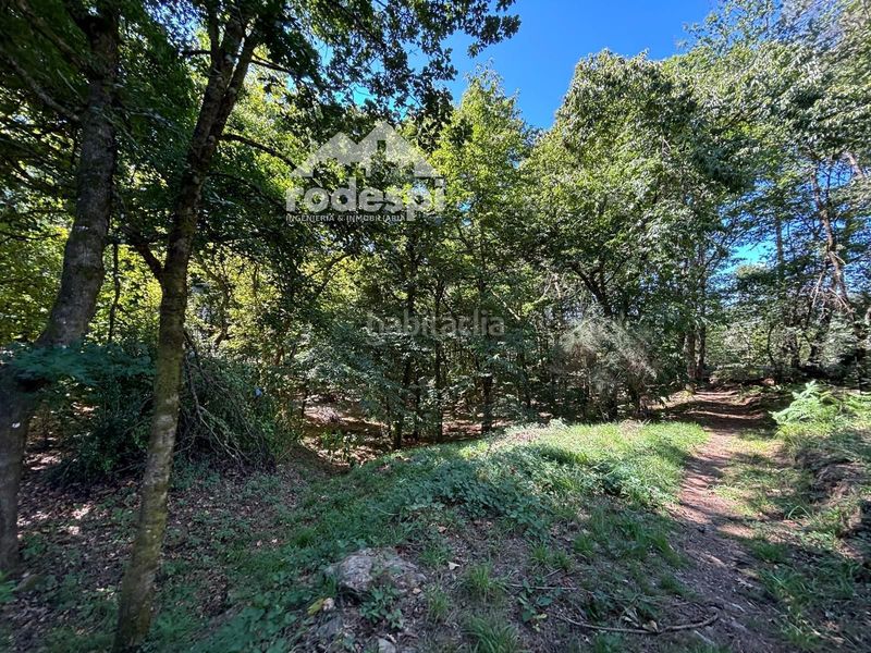 Foto 9a134f88-bb85-4291-b028-fd058e478826. Finca rústica a Cañiza (A)