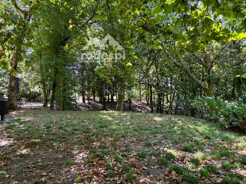 Foto b70dea2c-ce47-48f7-bded-4ef9e043be0f. Finca rústica a Cañiza (A)