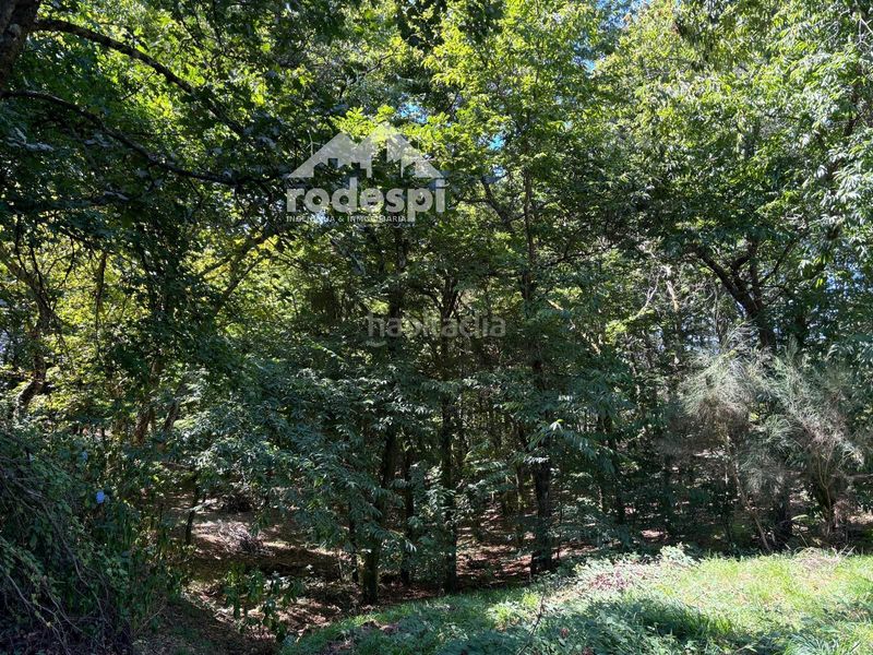 Foto d880b3cd-7490-41c6-9ab8-a3b500f20f5e. Finca rústica a Cañiza (A)