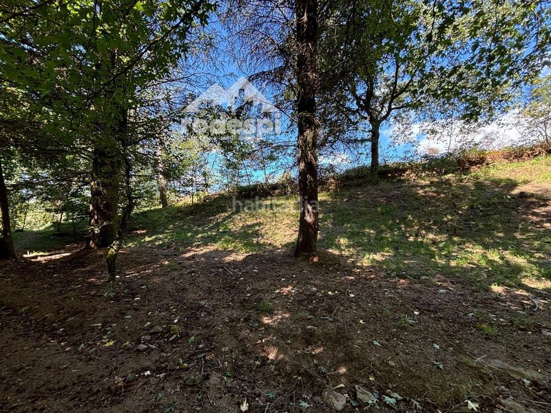 Foto e72a65d3-9fa7-426c-832d-466c3aa0e079. Finca rústica a Cañiza (A)