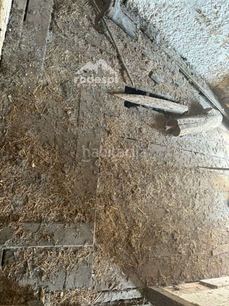 Foto 47bbc79d-286d-4011-95bb-2e75b33f54be. Casa a Arbo