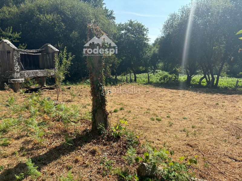 Foto bdbf60b2-8c5c-48d5-ac1e-c9c6dc4f4360. Casa a Arbo