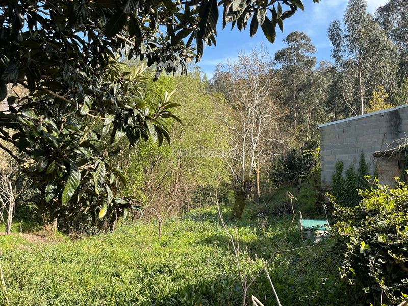 Foto b7bdb66b-e0e9-434a-8e44-aee9f96e0181. Casa a Crecente