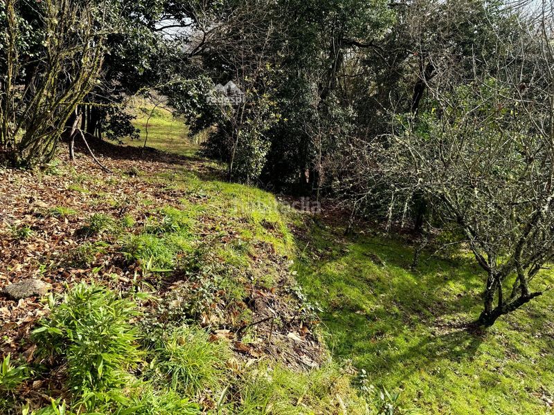 Foto 06e5146a-53e8-42f5-b3e1-e15bf1aeb34f. Casa a Cañiza (A)