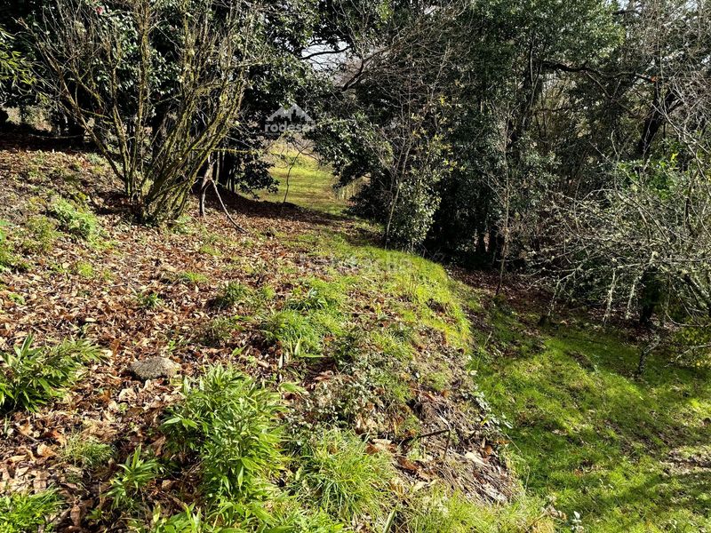 Foto 1131fab7-e062-495a-9dfe-4c56875b83c5. Casa a Cañiza (A)